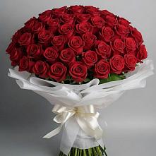 Букет 101 Красная роза Блэк Мэджик #REPLACE_PRED# Загорново