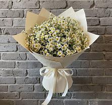 Букет цветов из:  Ромашки в Загорново