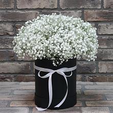 Цветочная композиция из Гипсофила в шляпной коробке #REPLACE_PRED# Загорново