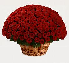 Премиум букет из: Розы в Загорново